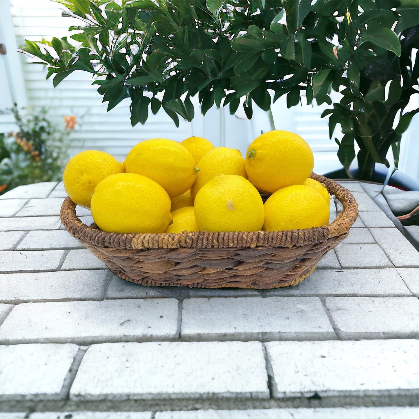 Wrightmart Oval Wicker/Abaca Basket – Natural Decorative Centerpiece for Serving Fruit, Bread, and Storage – Ideal for Kitchen, Dining, and Coffee Tables